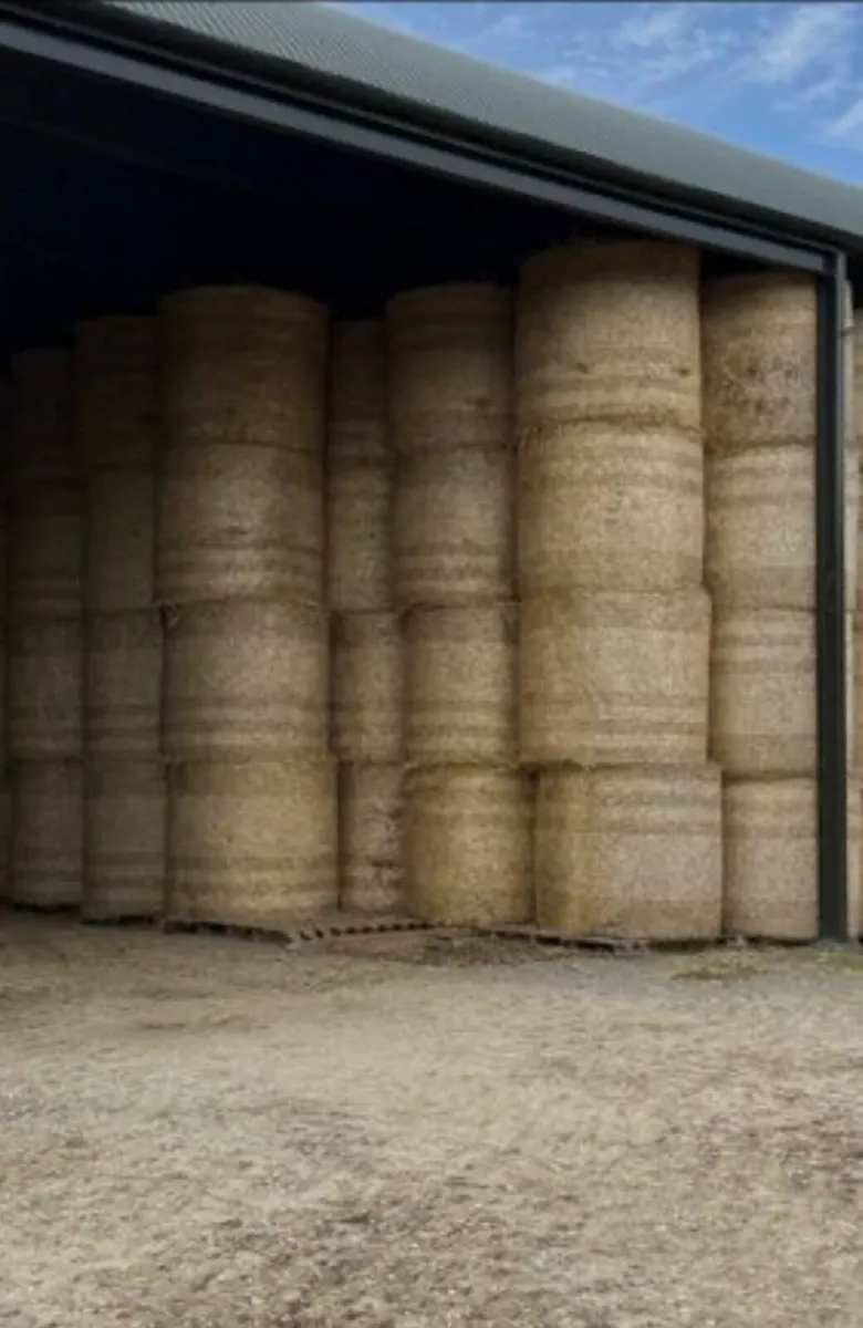 Barley and Wheaton straw for sale