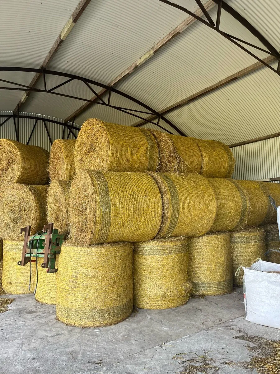 Hay Organic Certified Top Quality - Image 1