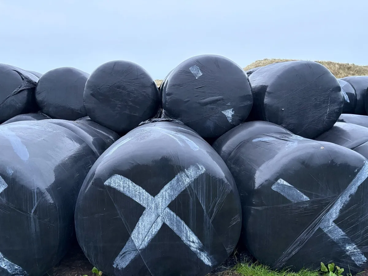 Silage bales - Image 2