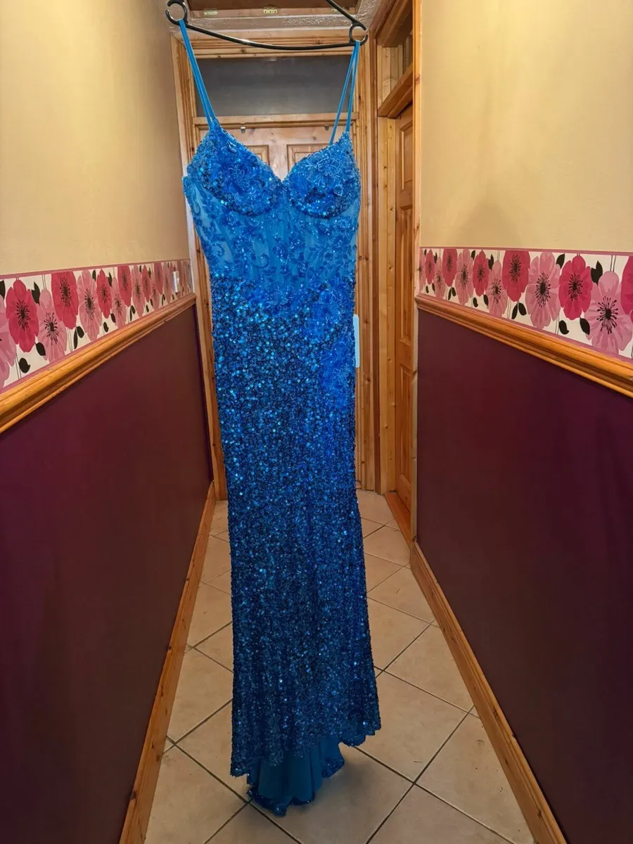 Ty Ball Dress - Image 4