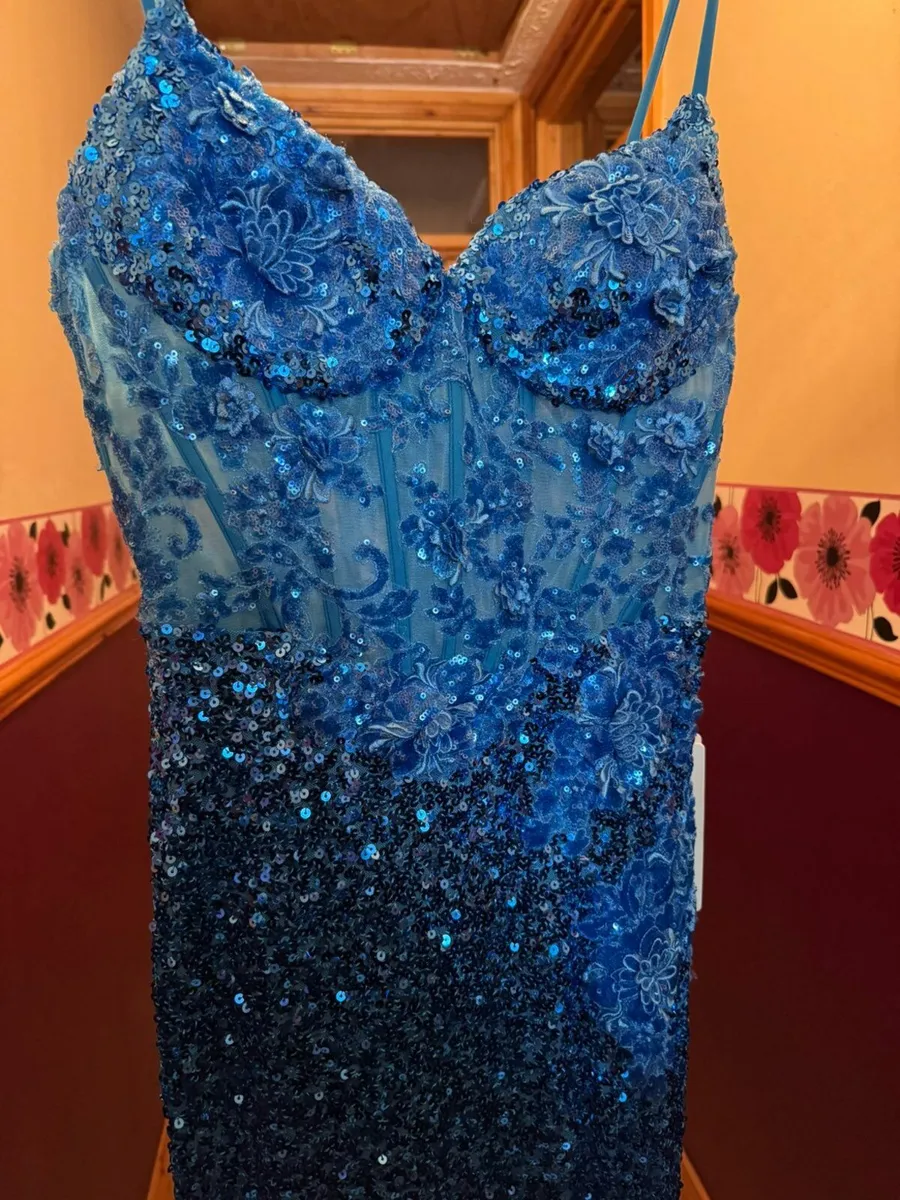 Ty Ball Dress - Image 1