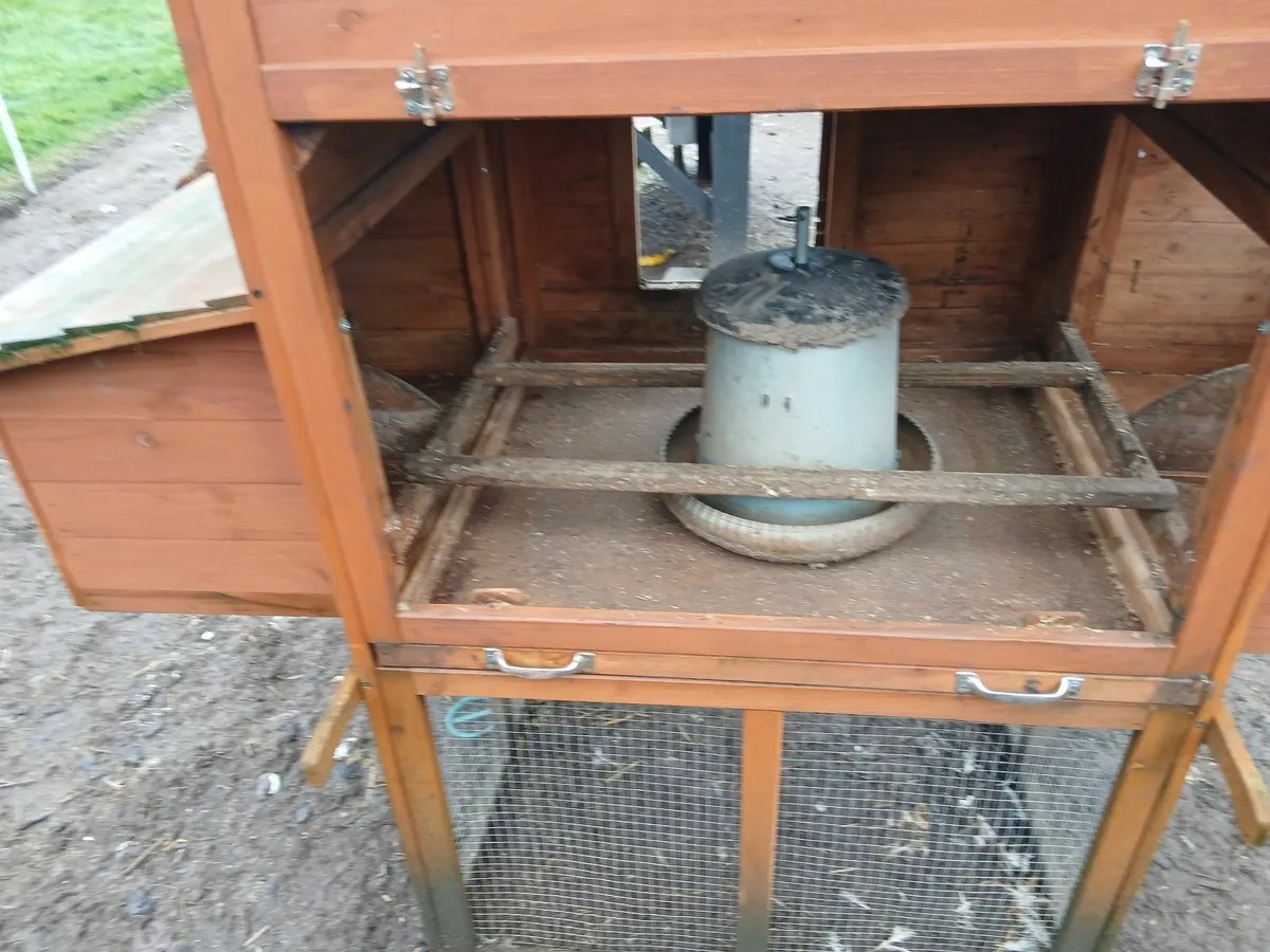 Chicken coop and feeder - Image 2