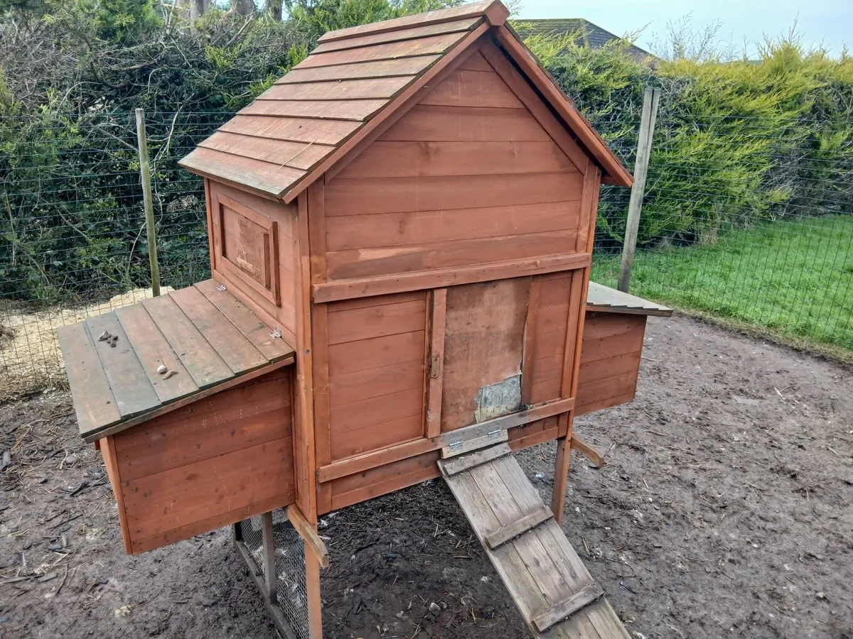Chicken coop and feeder - Image 1