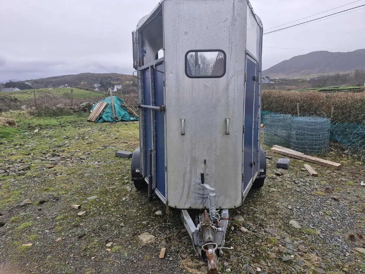 Ifor  Williams 505 horse trailer - Image 1