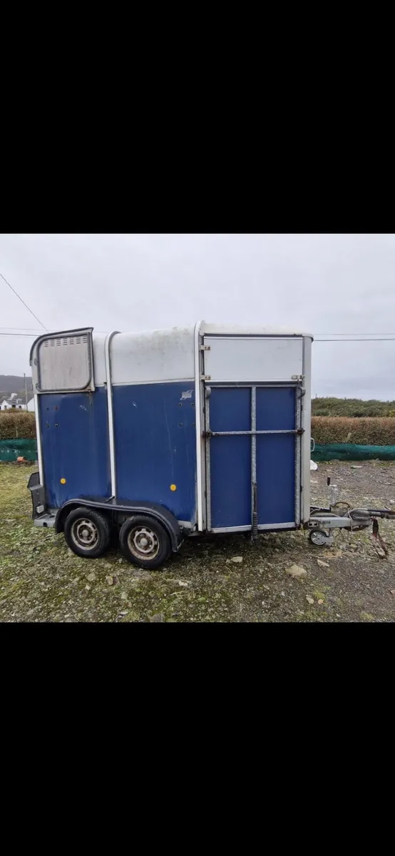 Ifor  Williams 505 horse trailer - Image 2