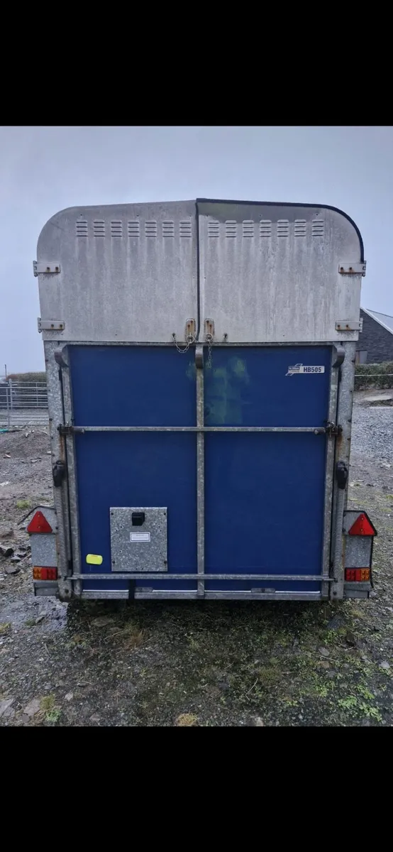 Ifor  Williams 505 horse trailer - Image 3