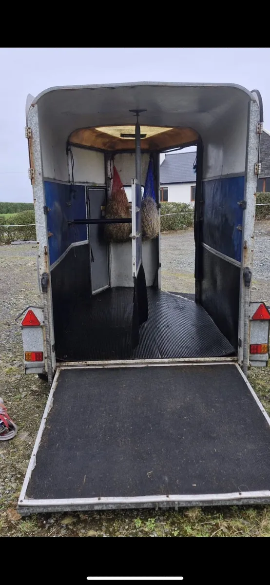 Ifor  Williams 505 horse trailer - Image 4