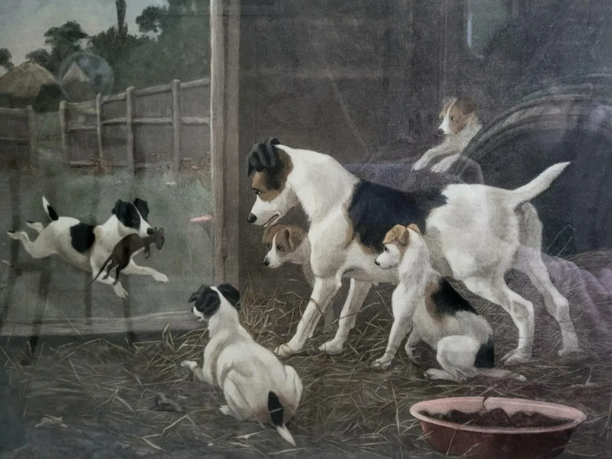 Large framed print - Image 2