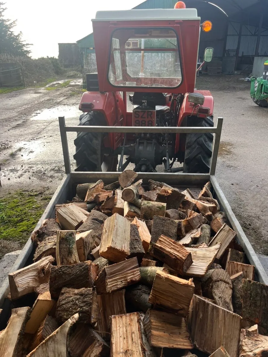 Firewood - Image 3