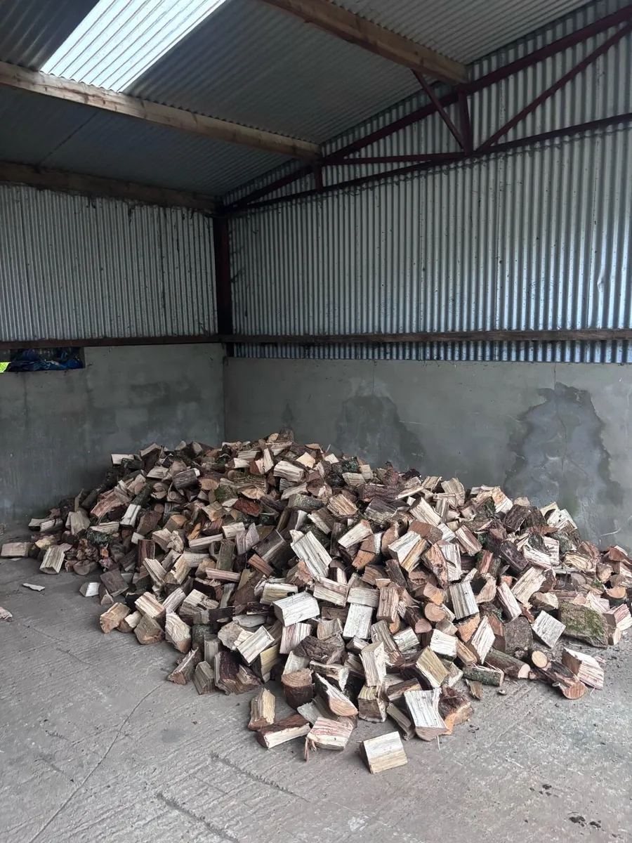 Firewood - Image 1