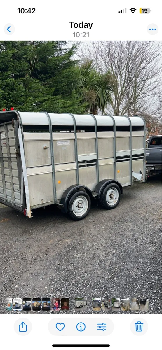 12x6 Ifor Williams cattle trailer - Image 1