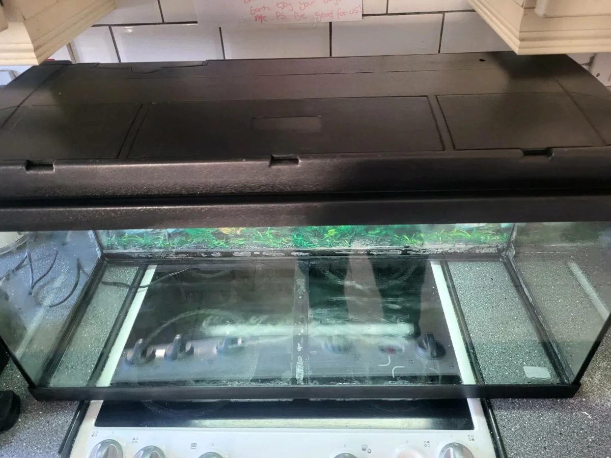 Fish tank aquarium - Image 2