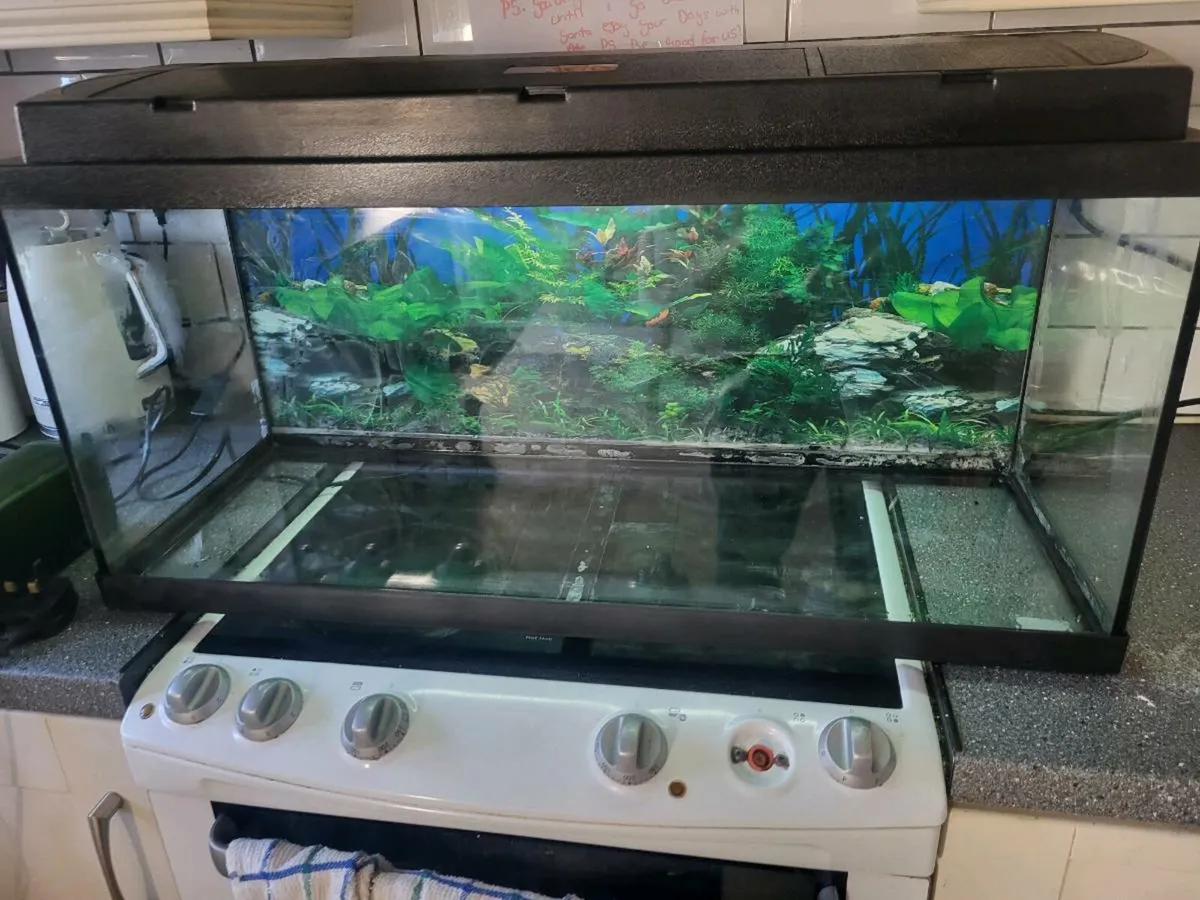 Fish tank aquarium - Image 3