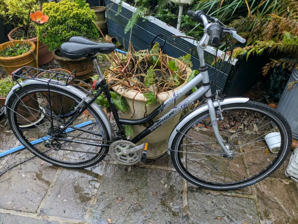 Ladies Bike - Image 2