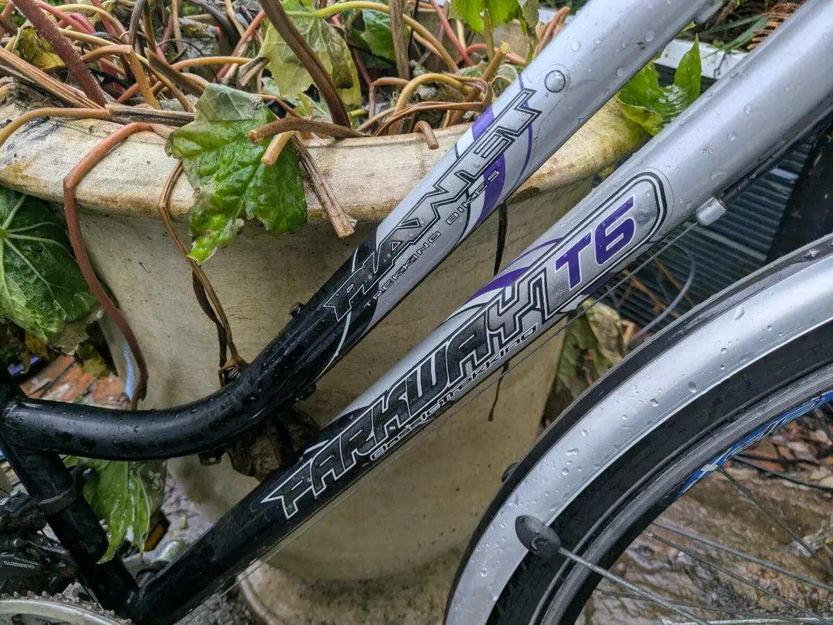 Ladies Bike - Image 3