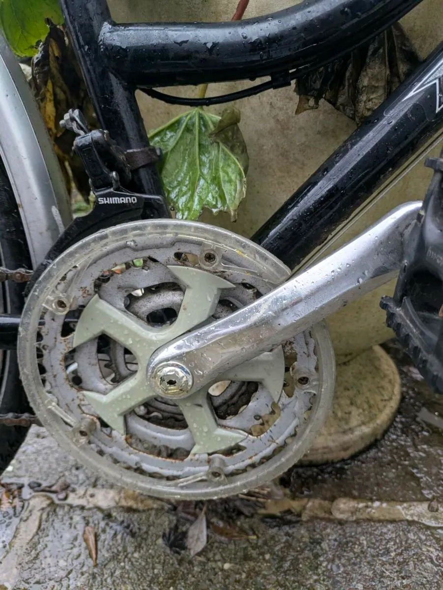 Ladies Bike - Image 4