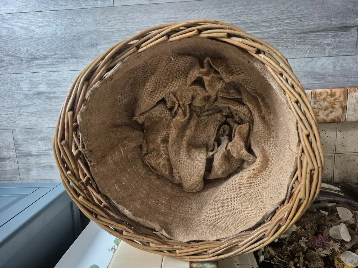 Willow Basket - Image 3