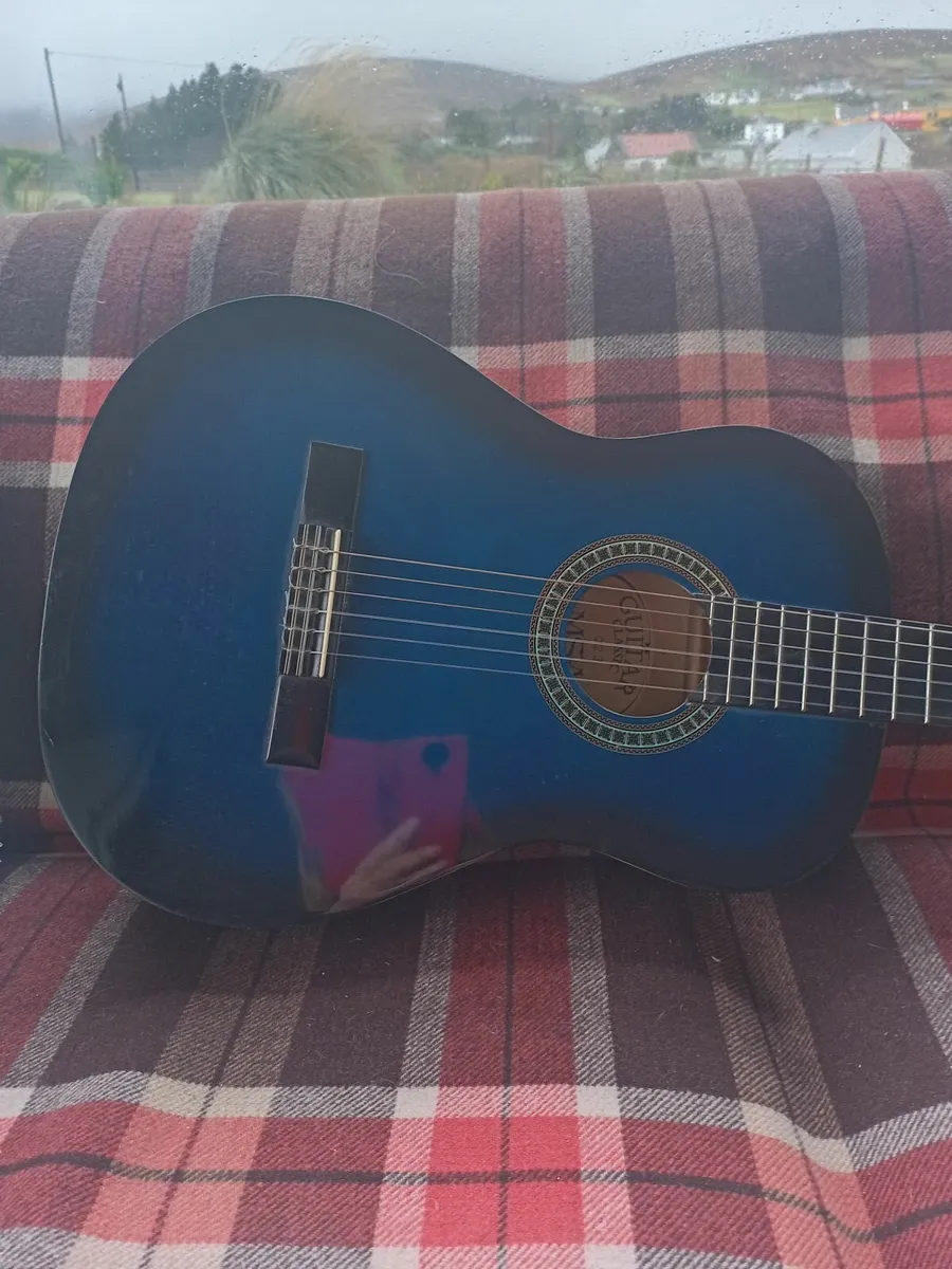 Guitar - Image 2