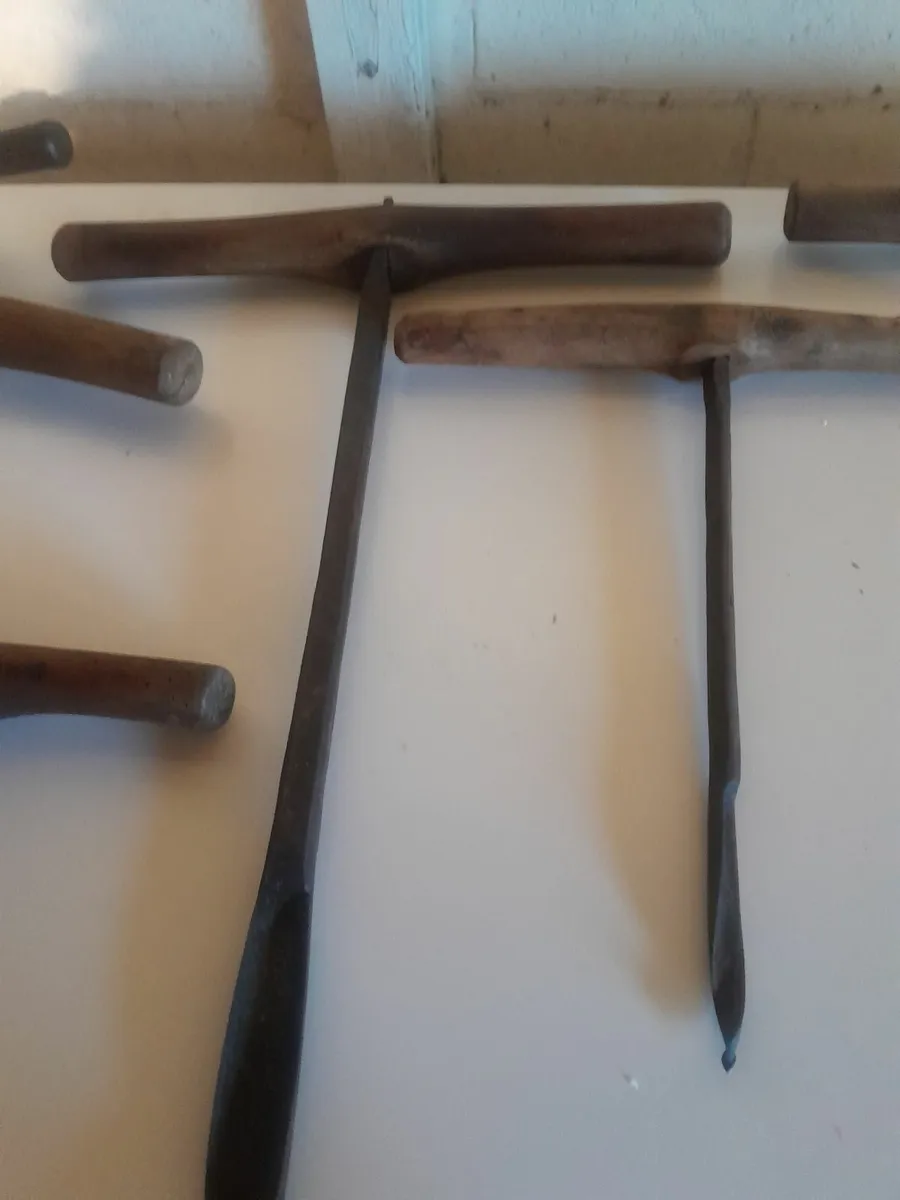 Nine  ship wrights aughters - Image 2