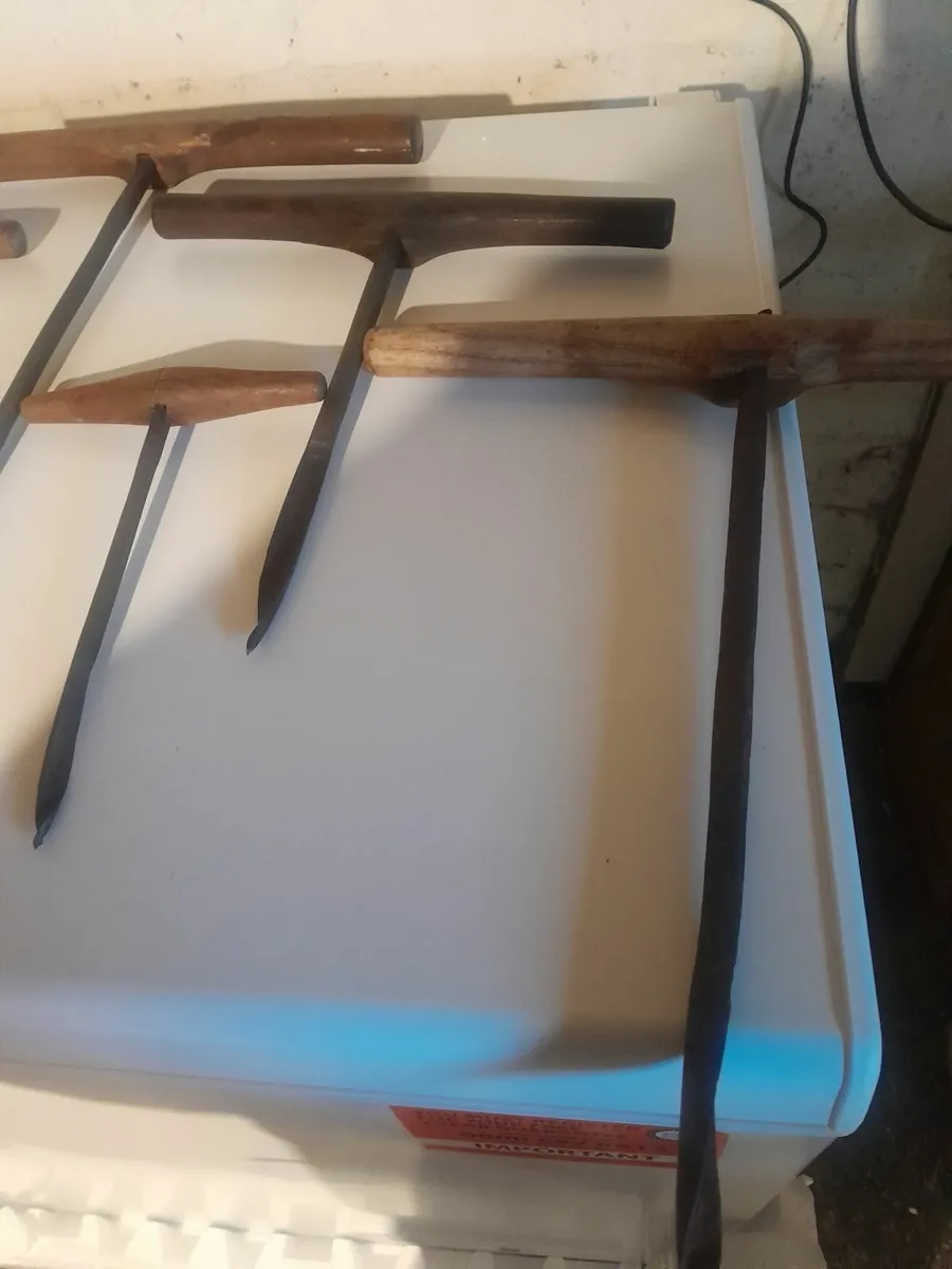 Nine  ship wrights aughters - Image 3