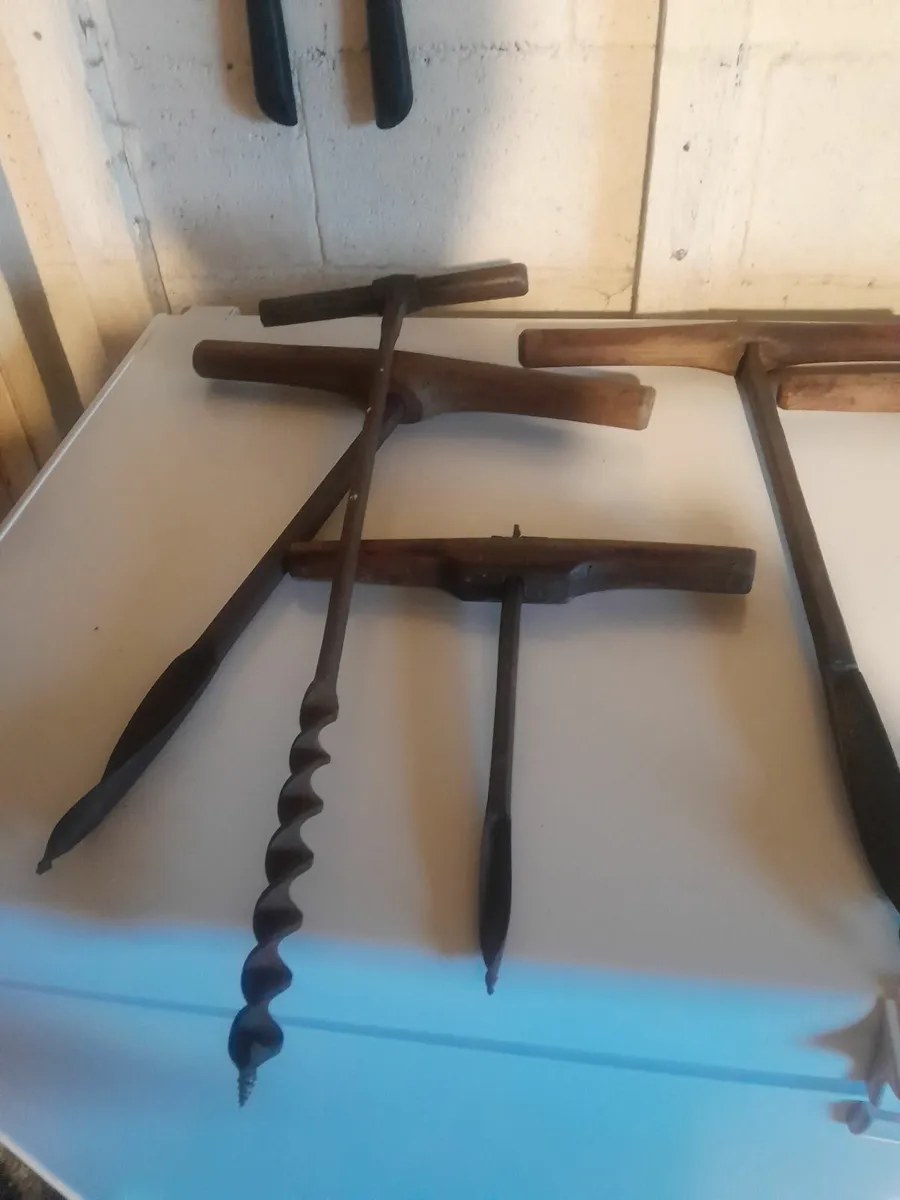 Nine  ship wrights aughters - Image 1