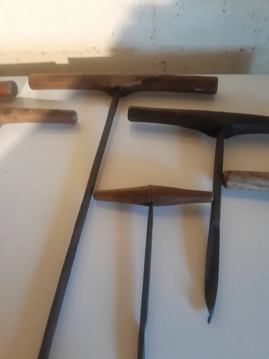 Nine  ship wrights aughters - Image 4