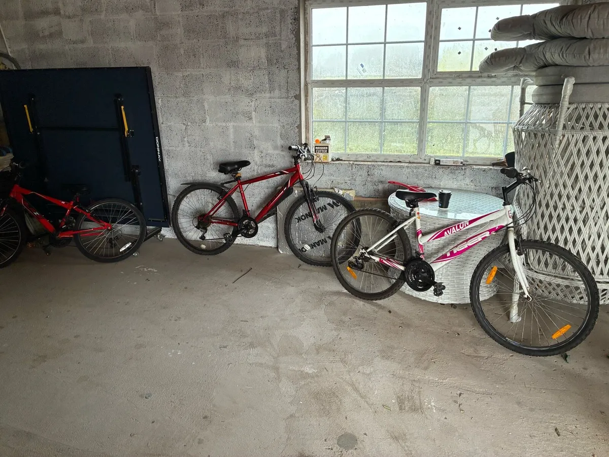 Bikes - Image 1