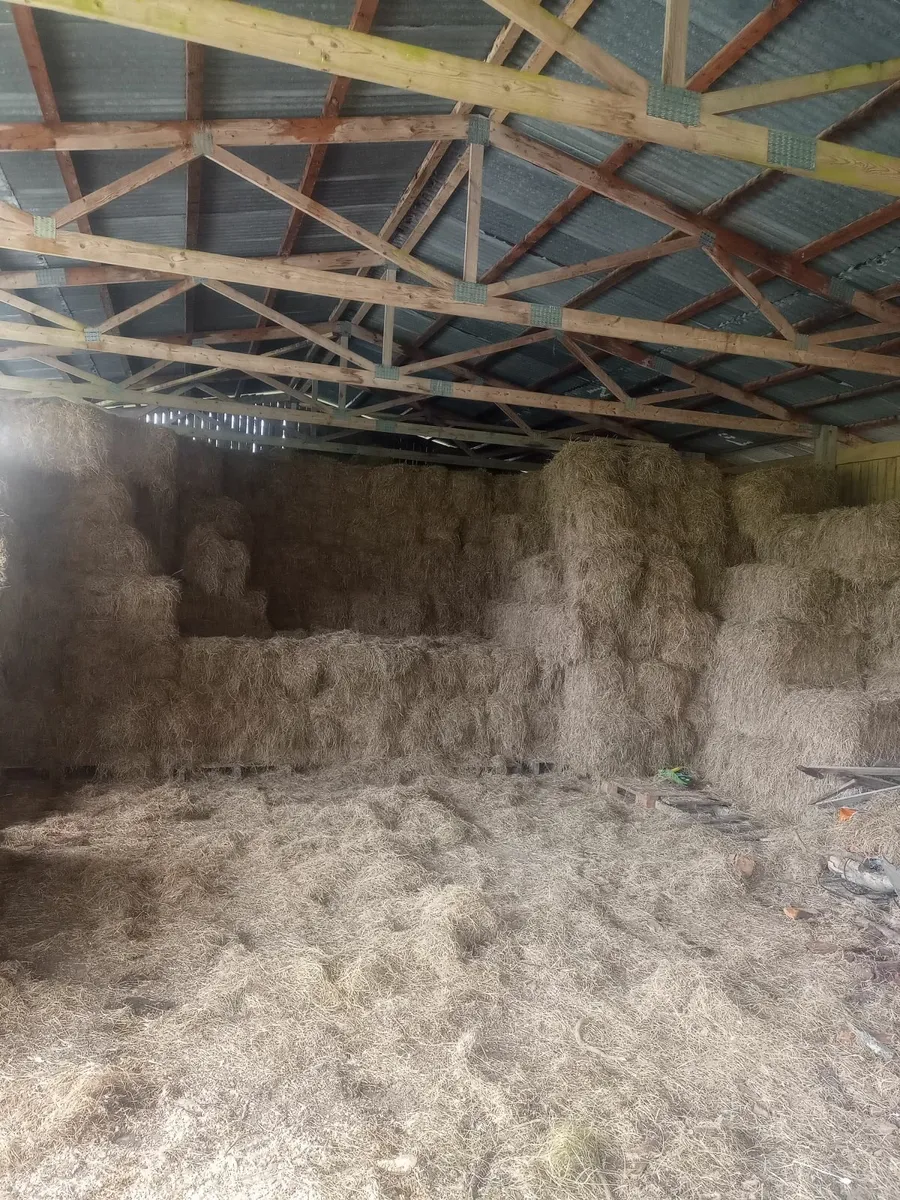 Square Bales of Hay - Good Quality, Fine Hay - €5