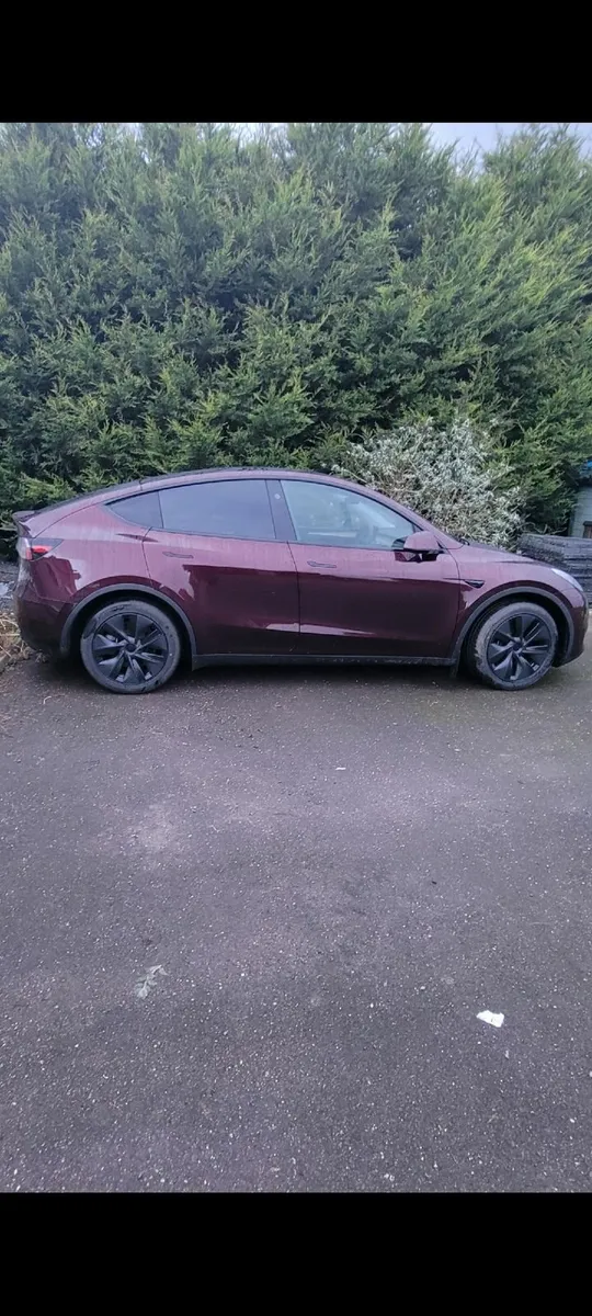 Tesla Model Y 2024 - Image 1