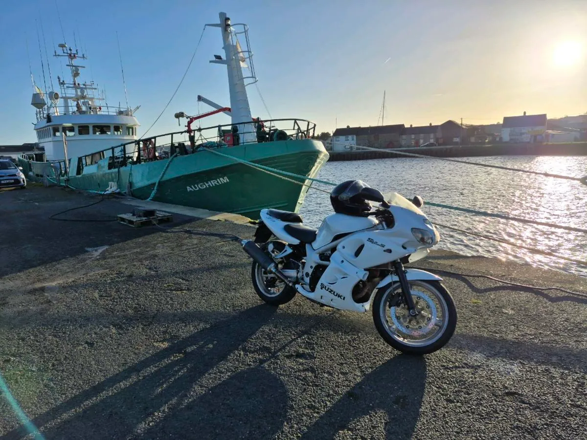 Suzuki SV 400s - Image 3