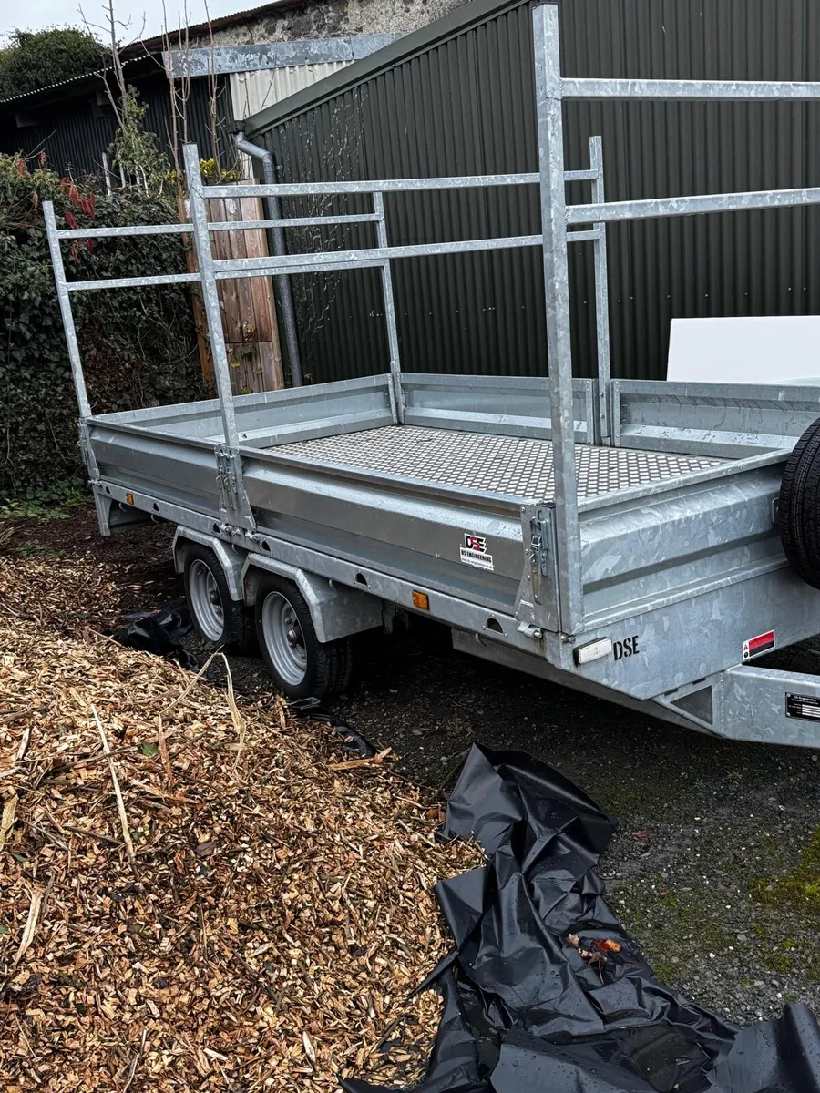 DS Trailer - Image 1