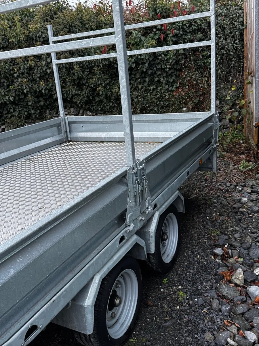 DS Trailer - Image 4