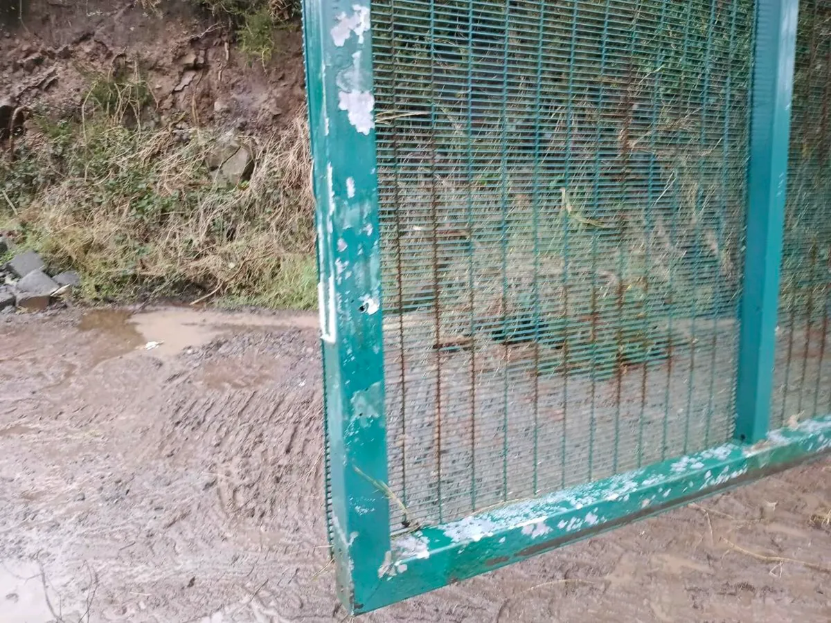 Security gate - Image 3