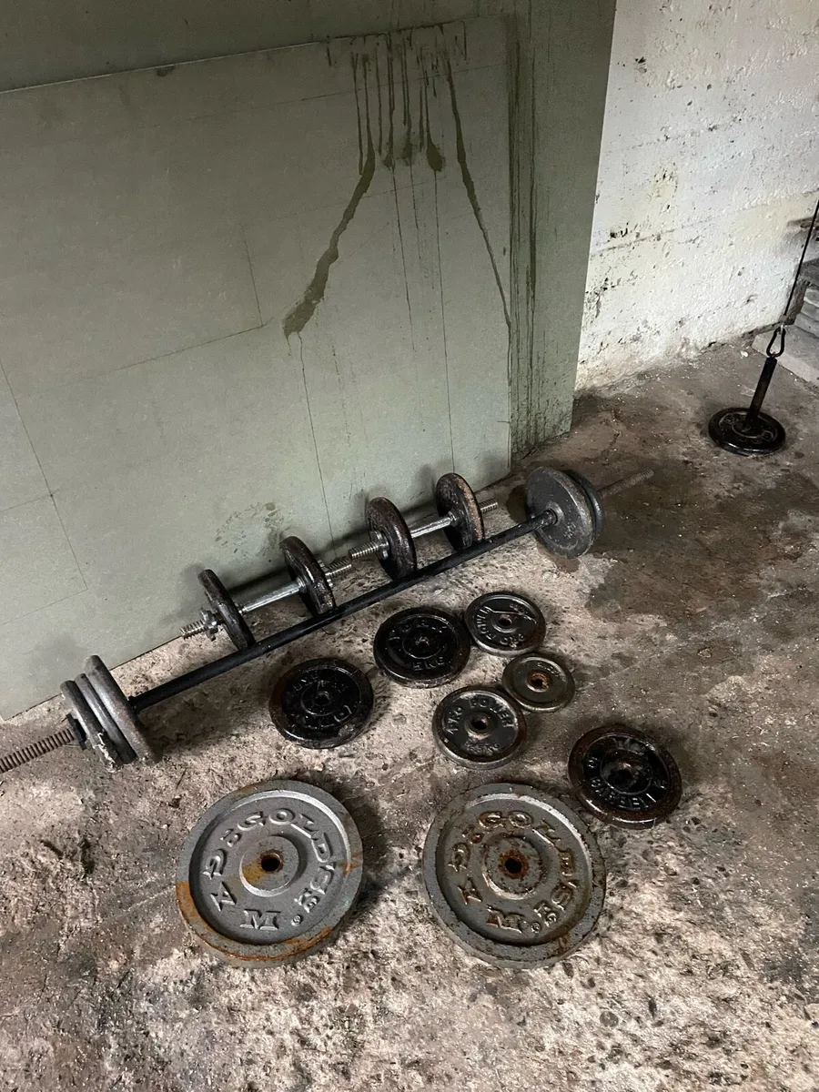 Full Home Gym Setup - Image 4