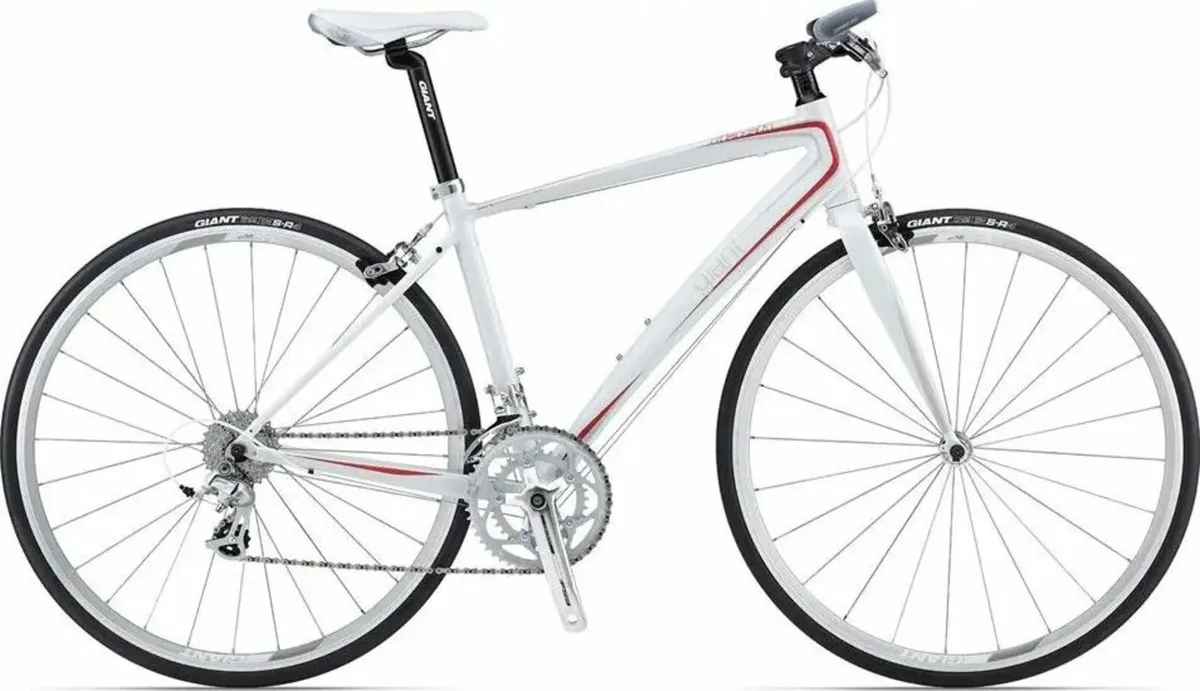 Giant Dash Bike Carbon Fork Ladies