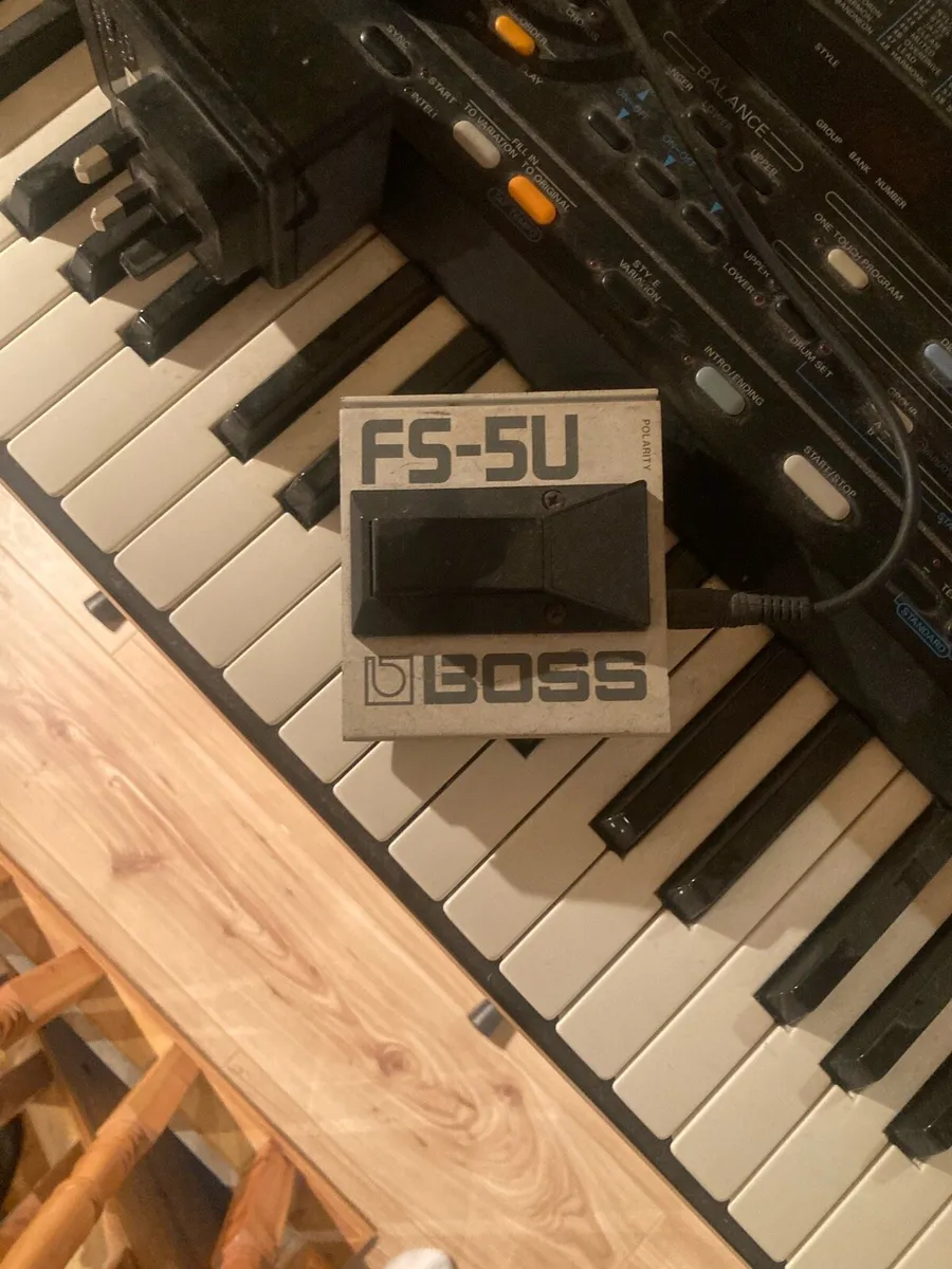 Roland E-16 - Image 3