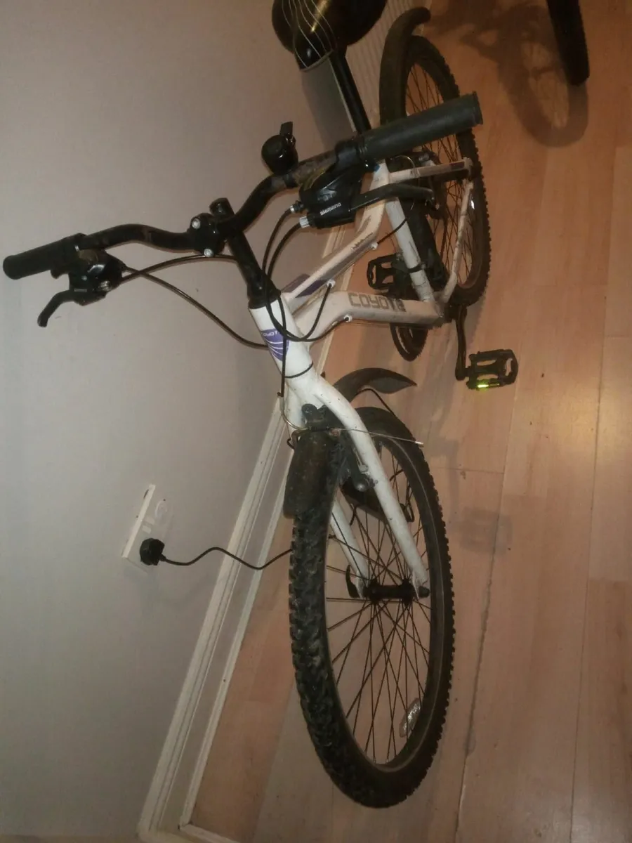 Mountainbike - Image 1
