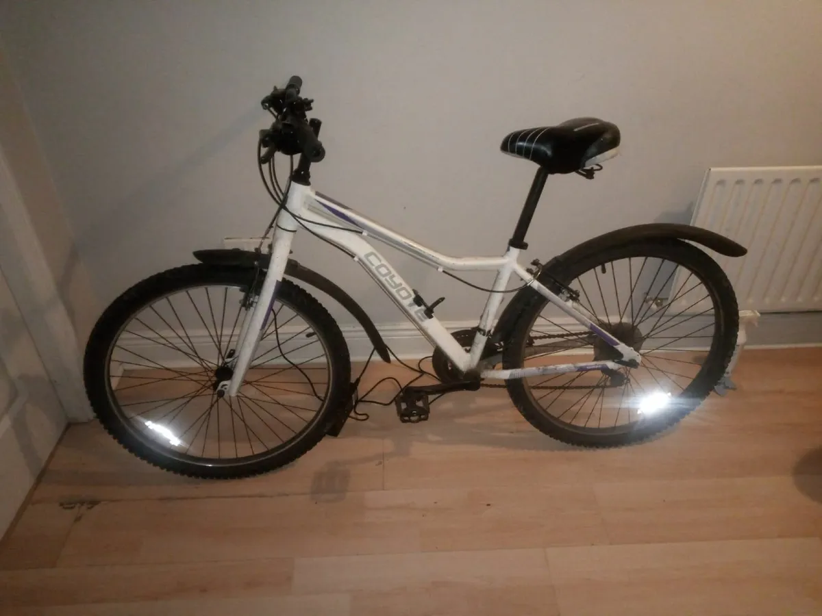 Mountainbike - Image 2