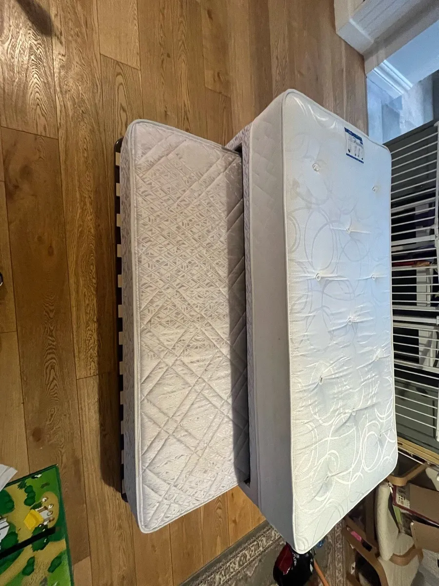 Single bed with pull out guest bed FREE - Image 2