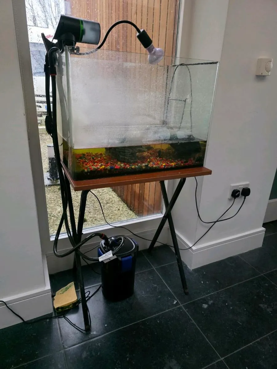 Fishtank,shrimptank, turtle tank - Image 2