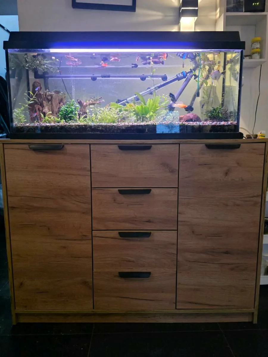 Fishtank,shrimptank, turtle tank - Image 1
