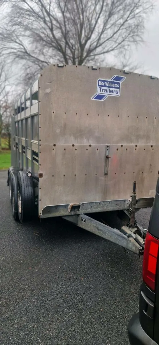 Cattle Trailer - Image 4