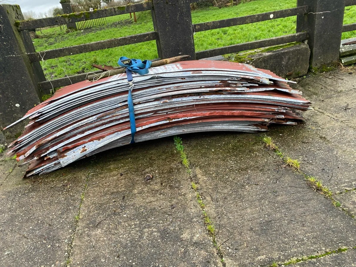 Galvanised sheeting - Image 3