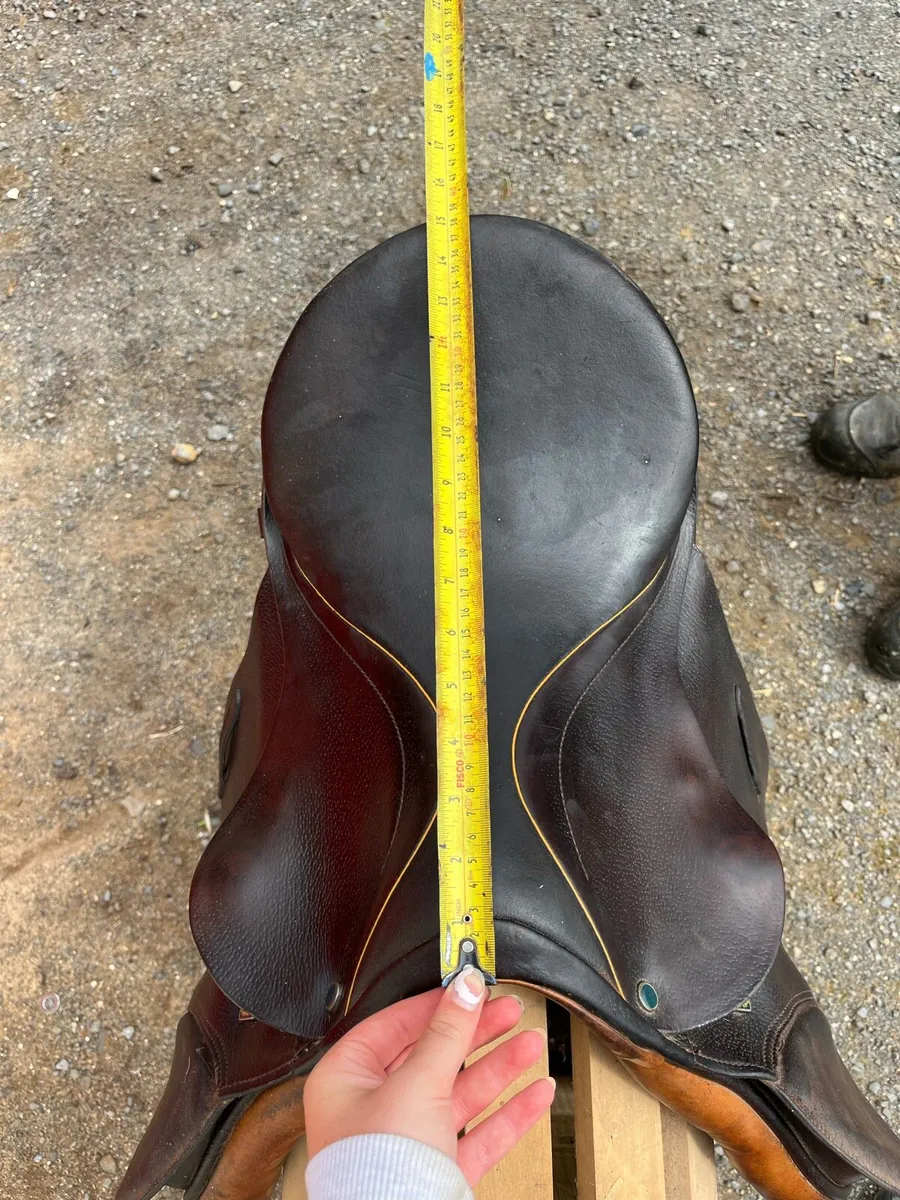 Stubben saddle - Image 2