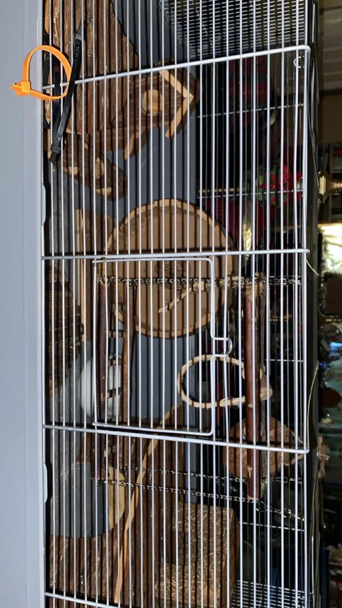 Hamster Cage/Enclosure - Image 1