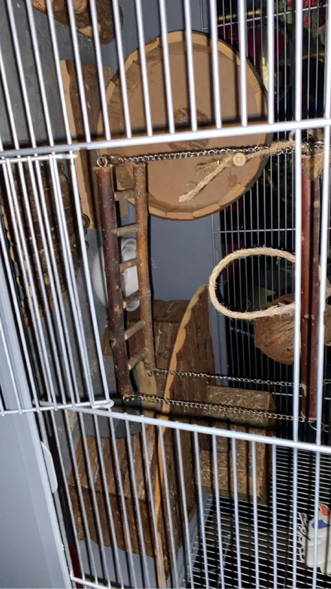 Hamster Cage/Enclosure - Image 3