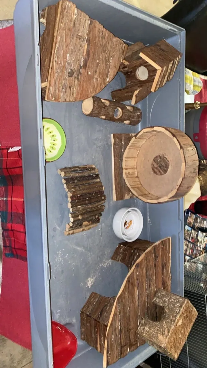 Hamster Cage/Enclosure - Image 4