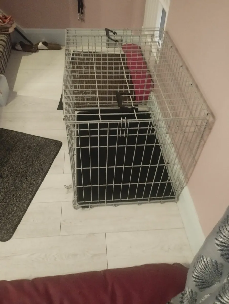 Dog crate - Image 1