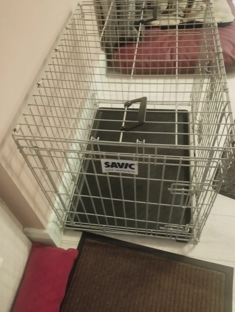 Dog crate - Image 2