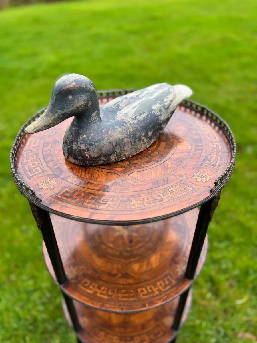 Decoy ducks - Image 4